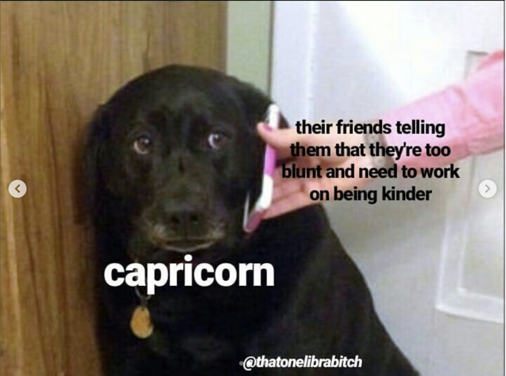 Capricorn meme: friends telling them they need to be less blunt