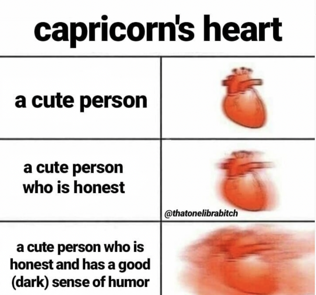 Capricorn meme: cute dark humour honest partner
