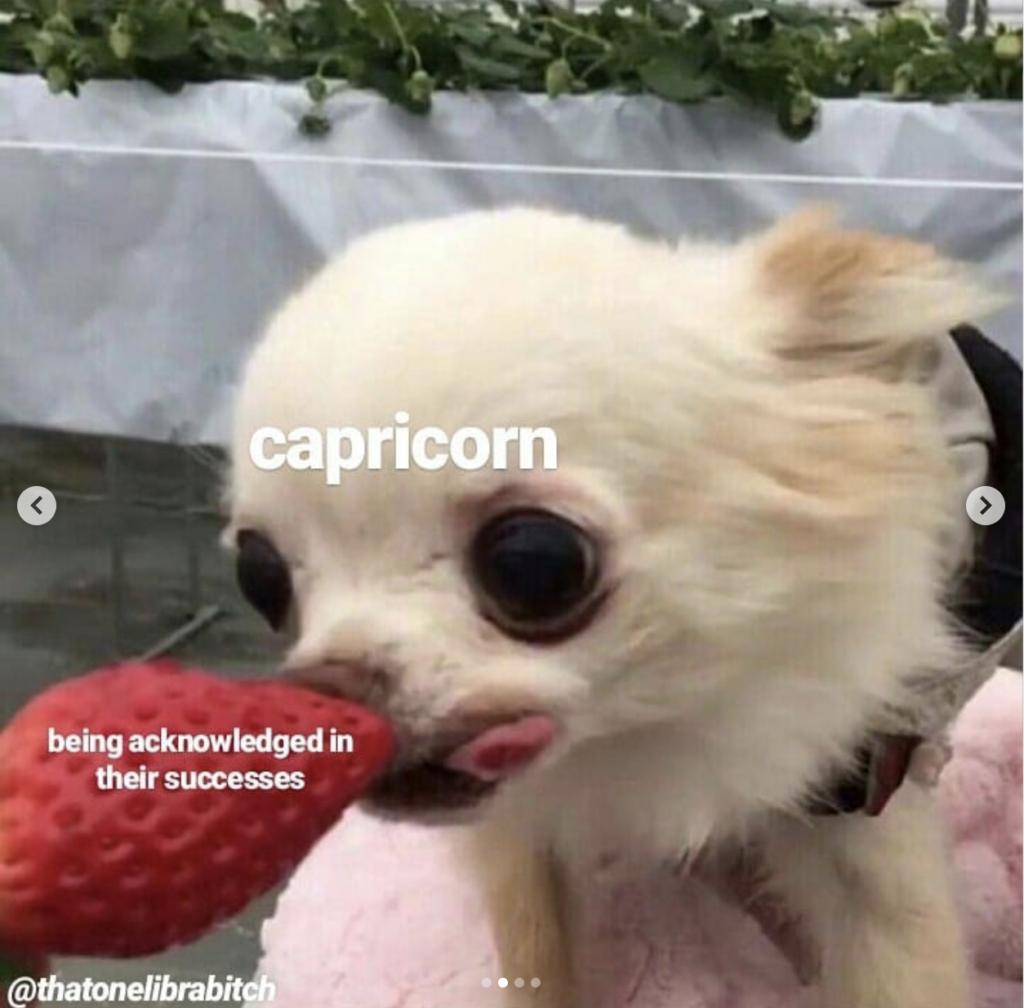 Capricorn meme: wanting to be acknowledged in their success