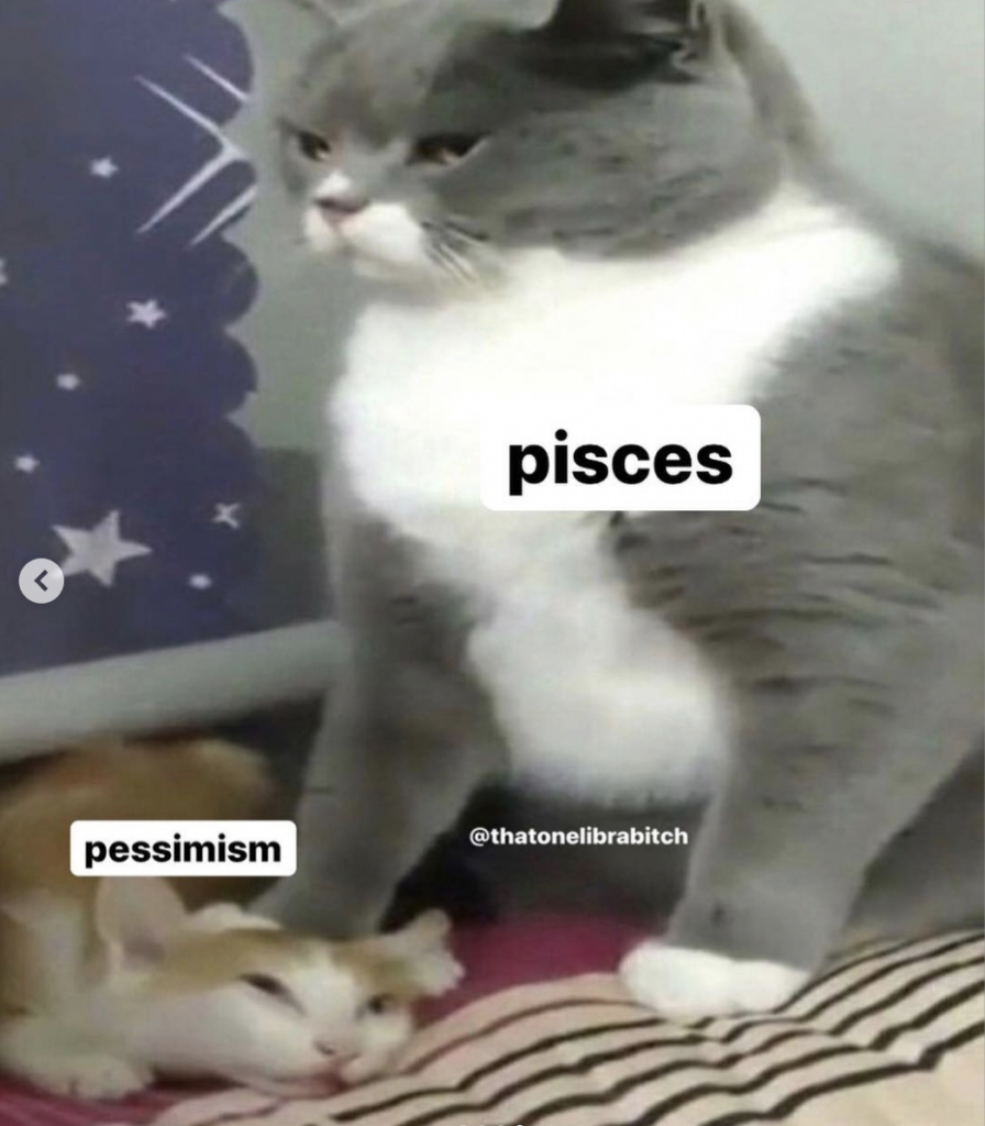 Pisces meme: optimistic 