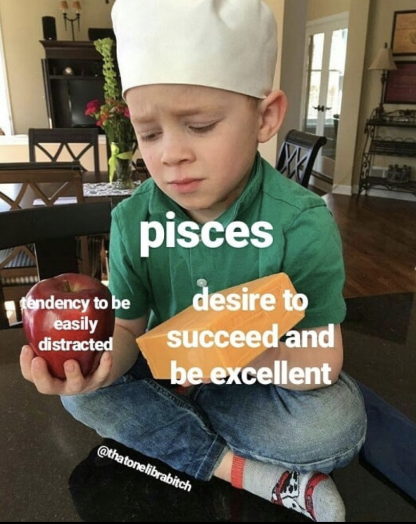 Pisces meme: easily distracted and wanting to succeed