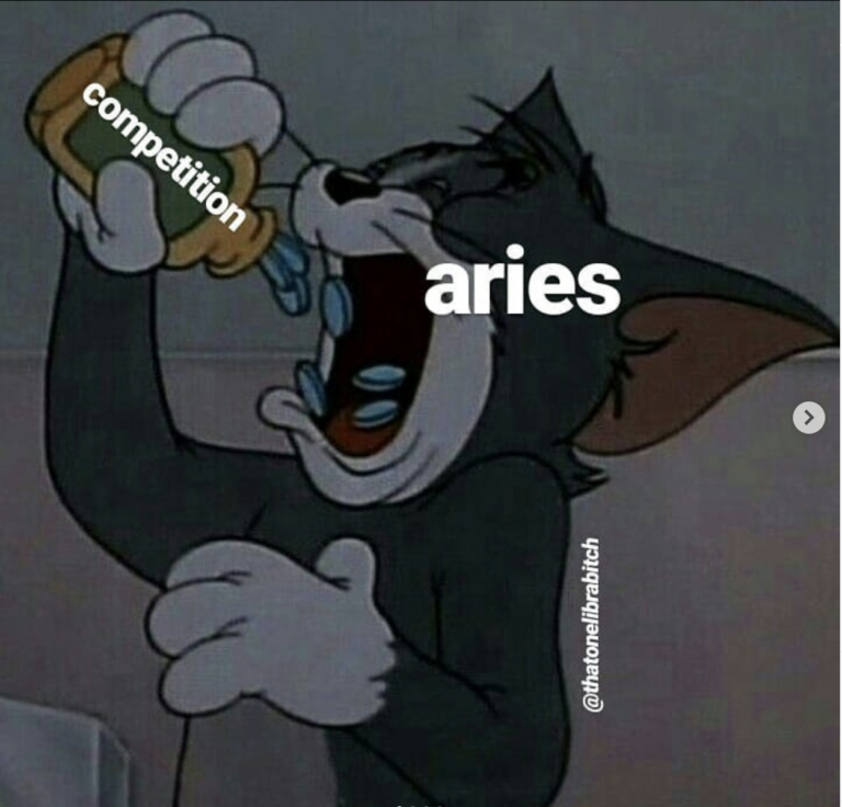 28 Funny And Relatable Aries Memes So Syncd
