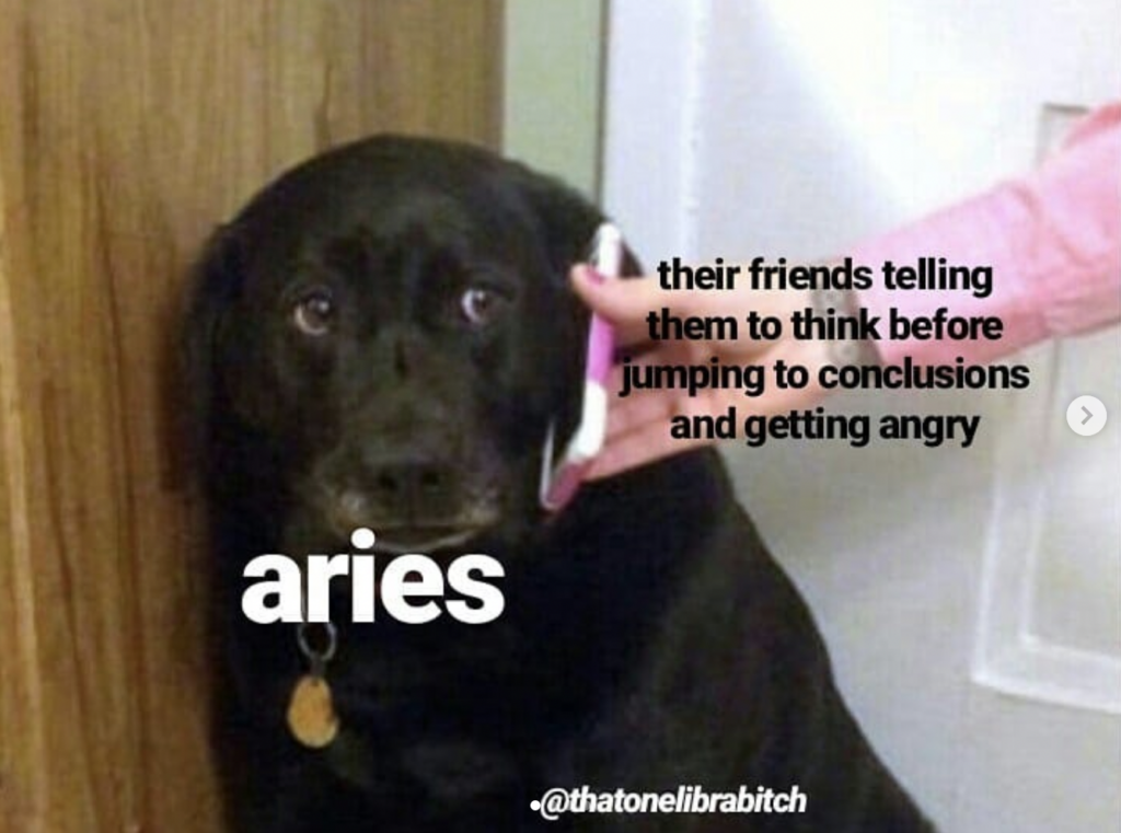 Aries meme: when their friends tell them to think before they get angry