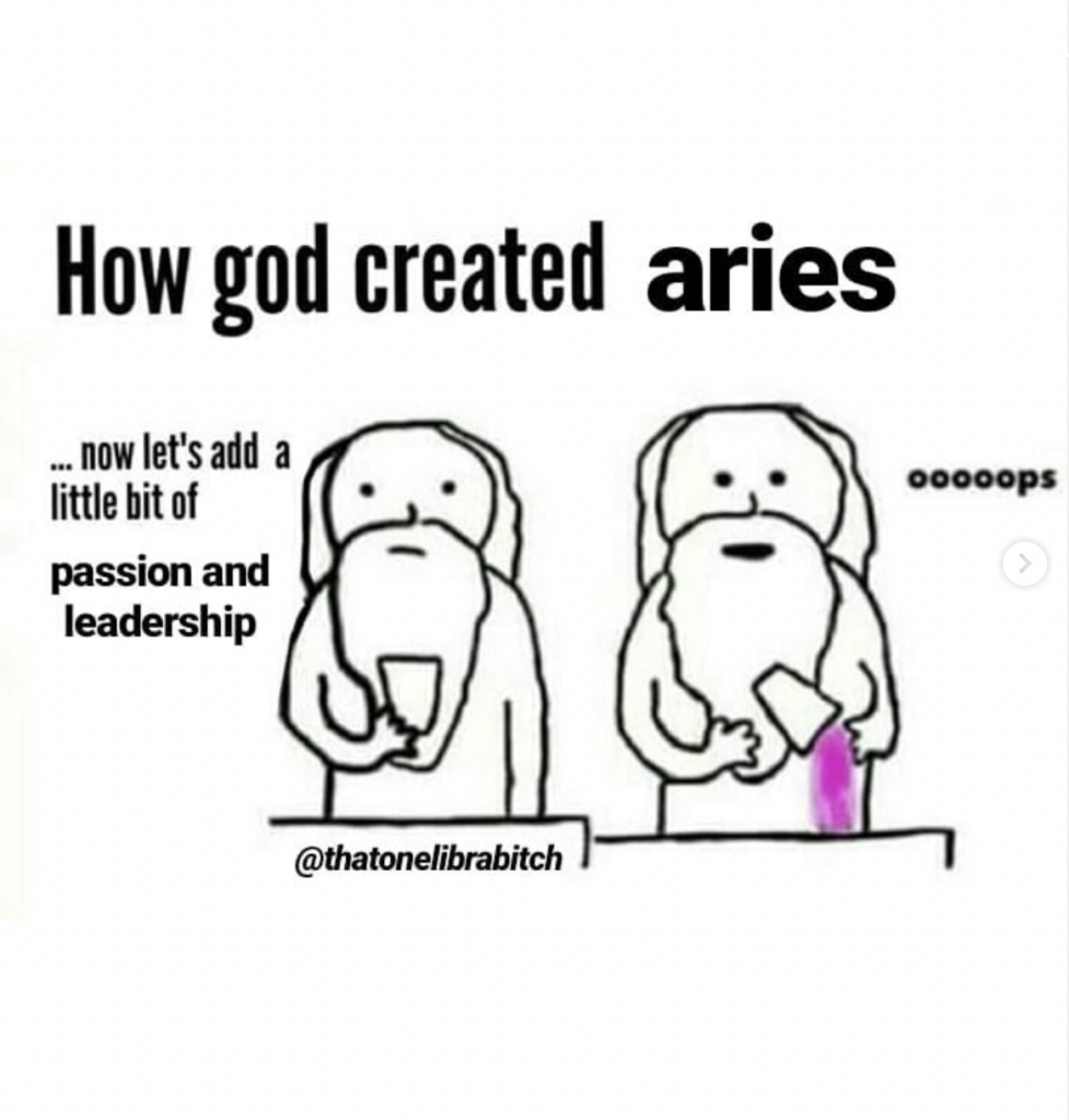 28 Funny and Relatable Aries Memes So Syncd
