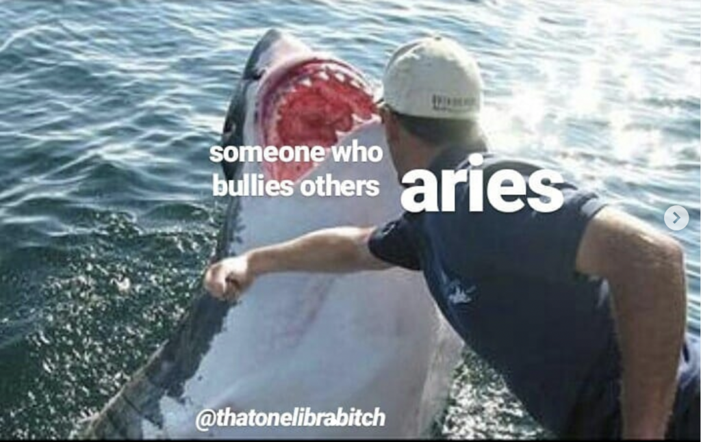 Aries meme: hate bullies