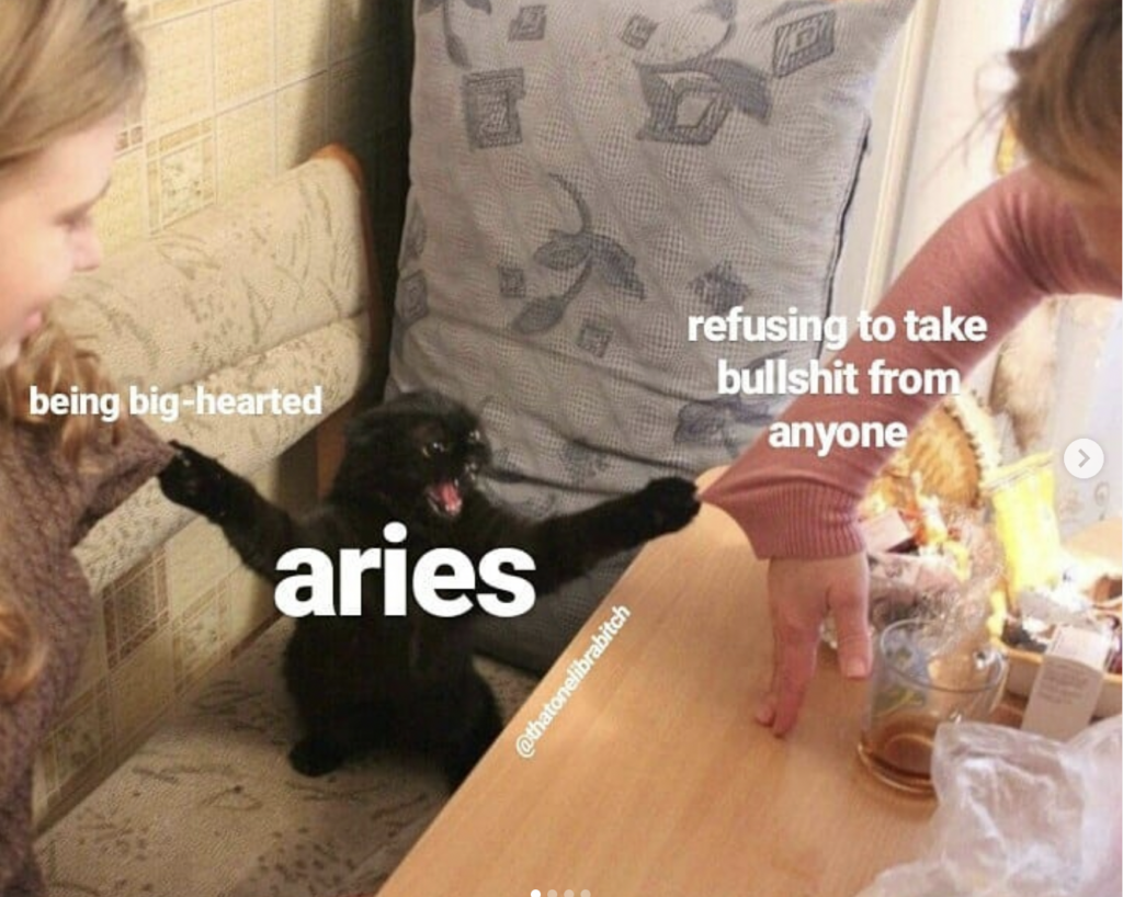 Aries meme: refusing to take bullshit but also has a big heart 