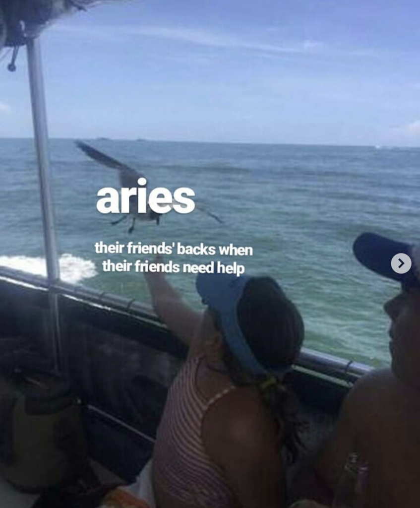 Aries meme: having their friends backs