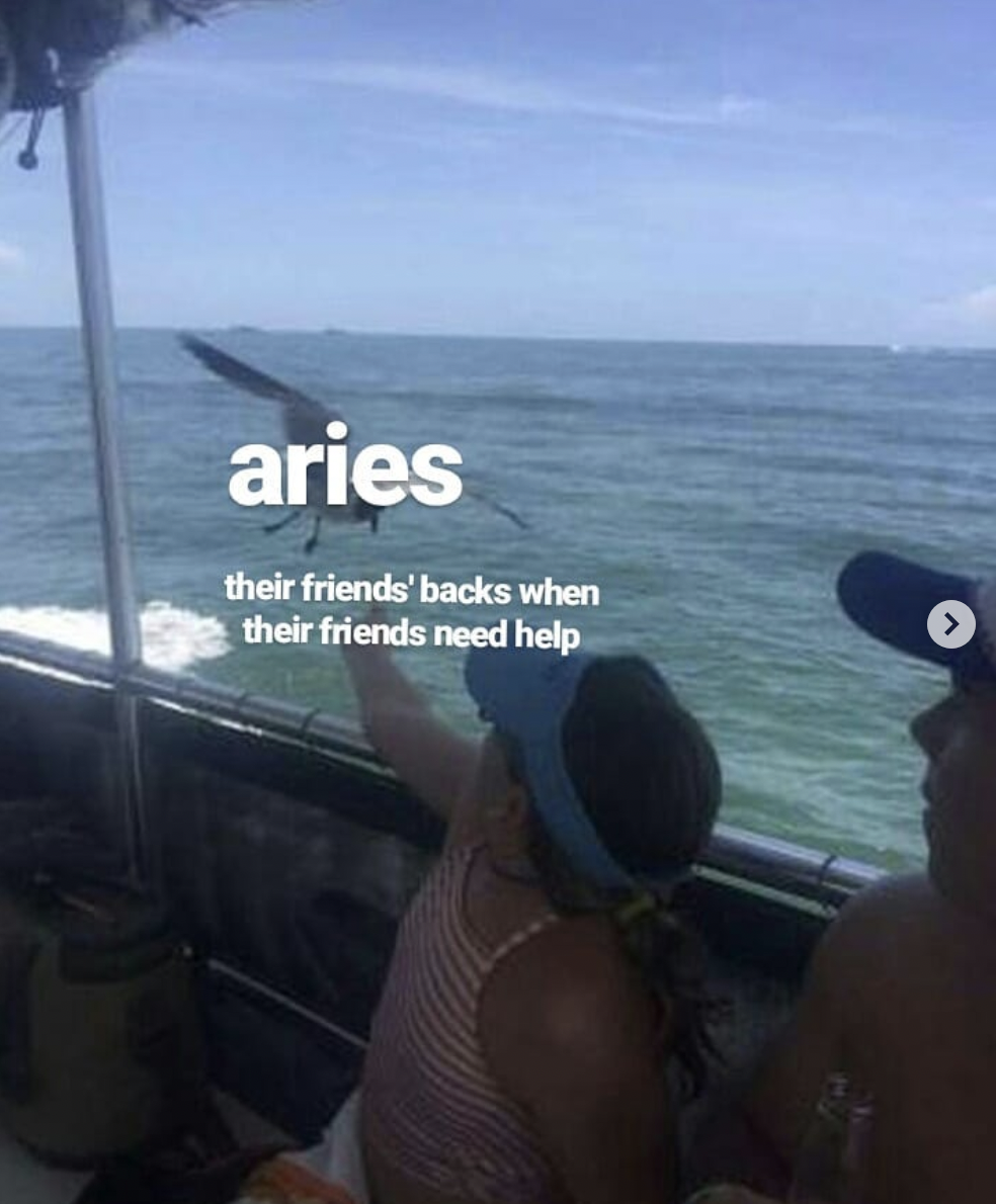 28 Funny And Relatable Aries Memes So Syncd