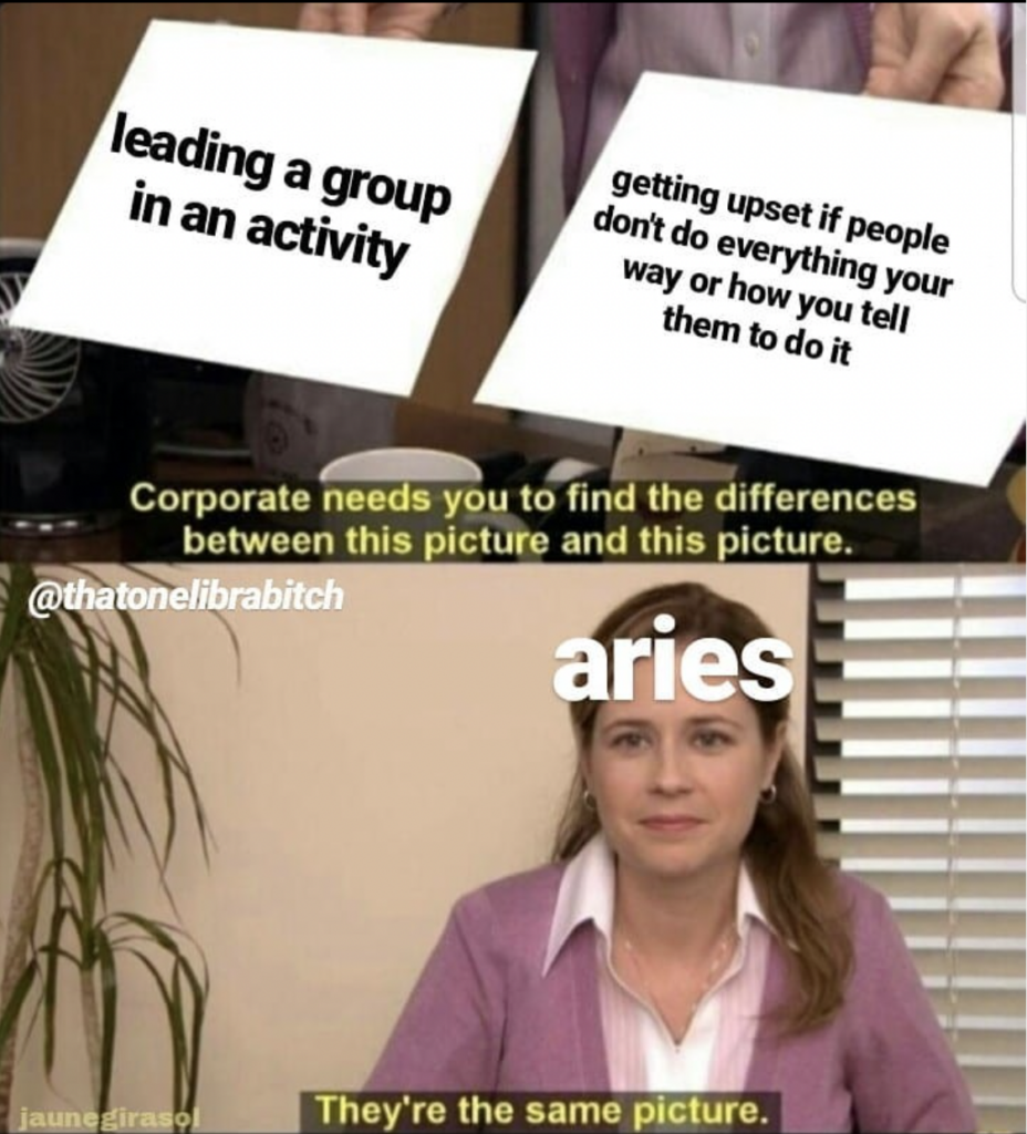 28 Funny and Relatable Aries Memes So Syncd
