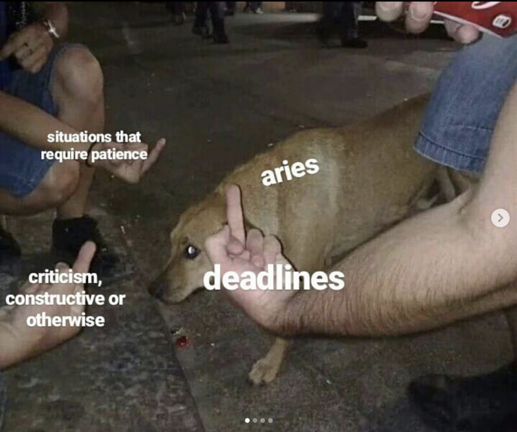 Aries meme: hate deadlines and patience and hate criticism 