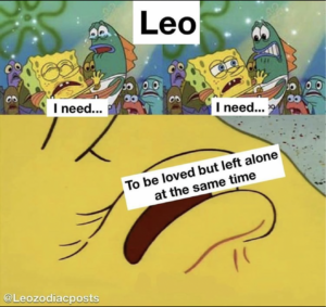 28 Funny and Relatable Leo Memes – So Syncd – Dating & Personality
