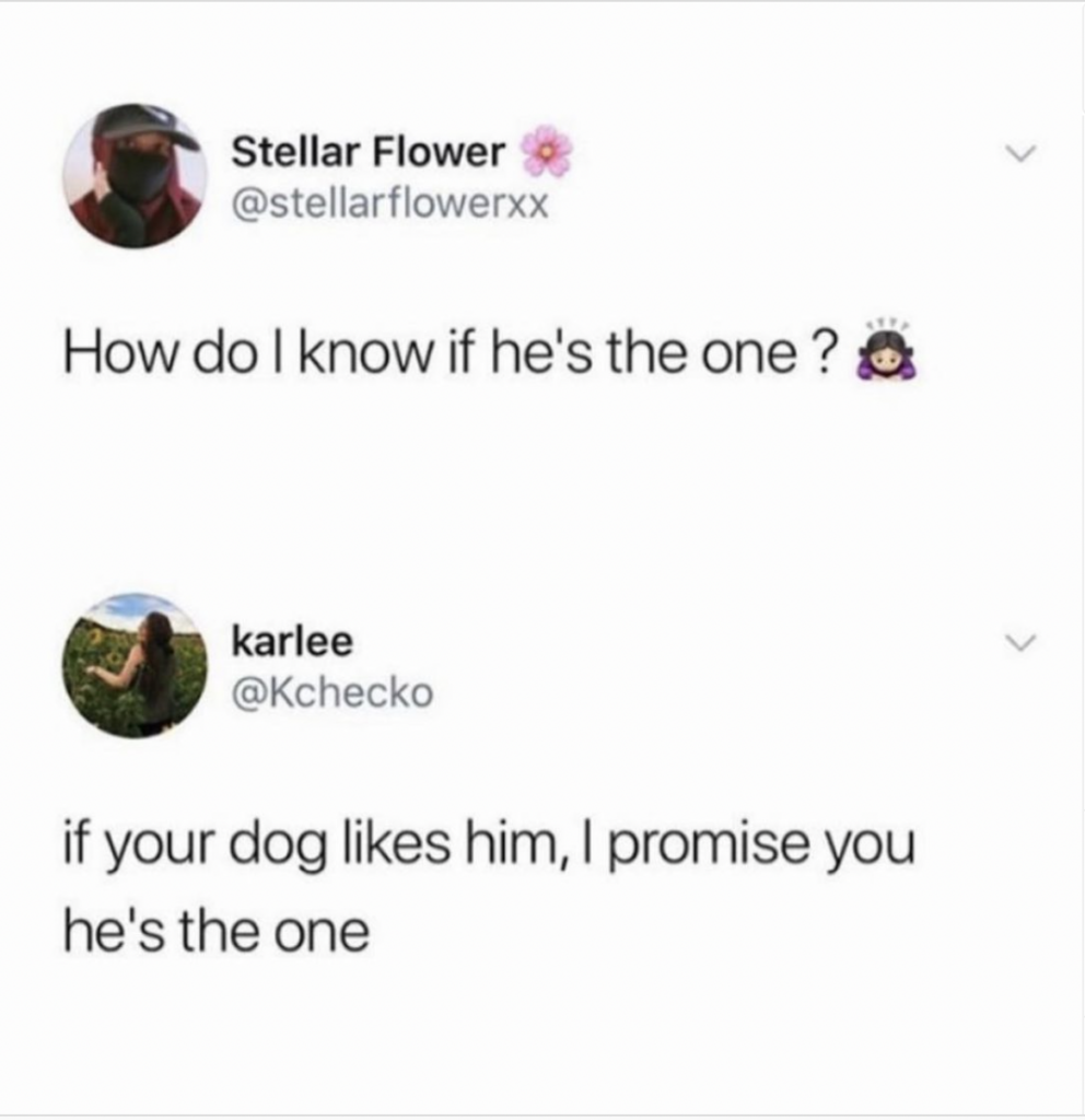 if your dog likes him then he's the one dating