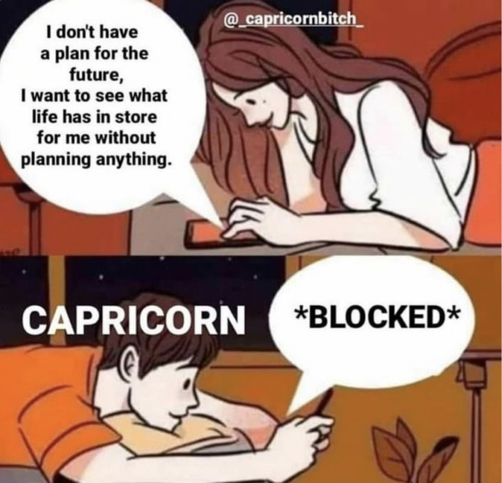 capricorns love to plan