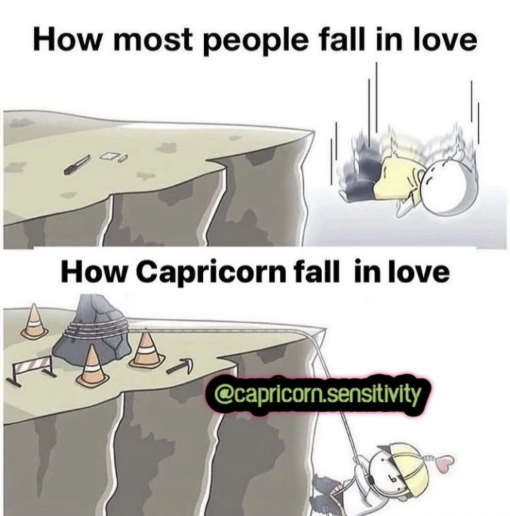 Capricorn meme: not good with emotions or falling in love