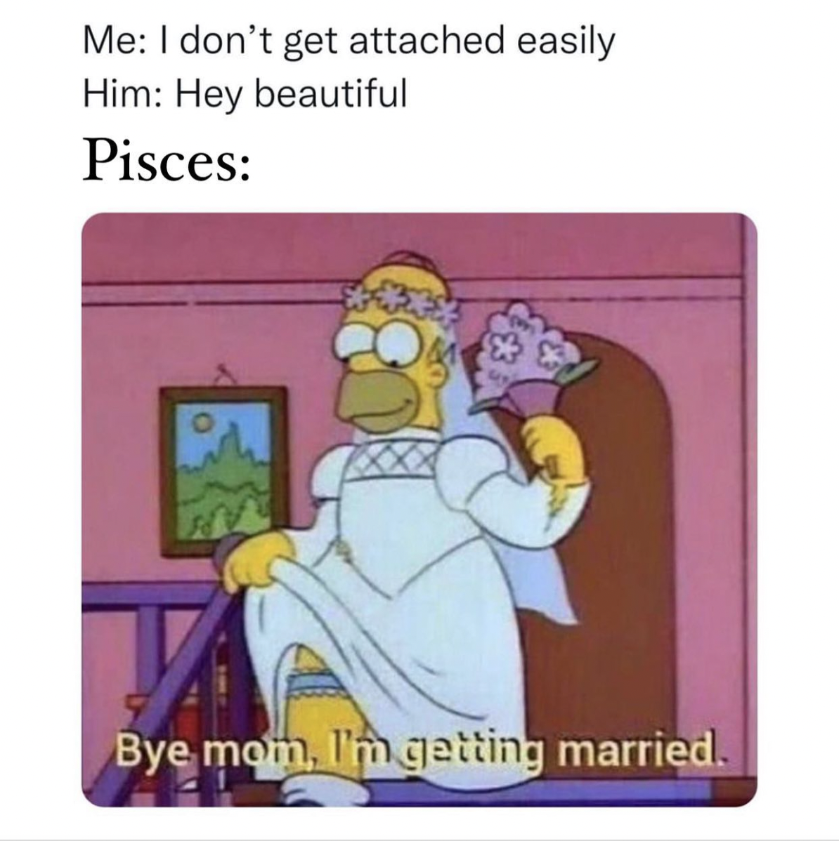 28 Funny and Relatable Pisces Memes | So Syncd