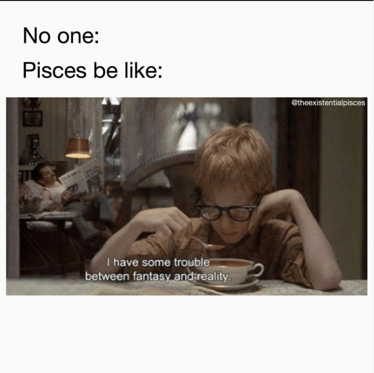 28 Funny And Relatable Pisces Memes So Syncd