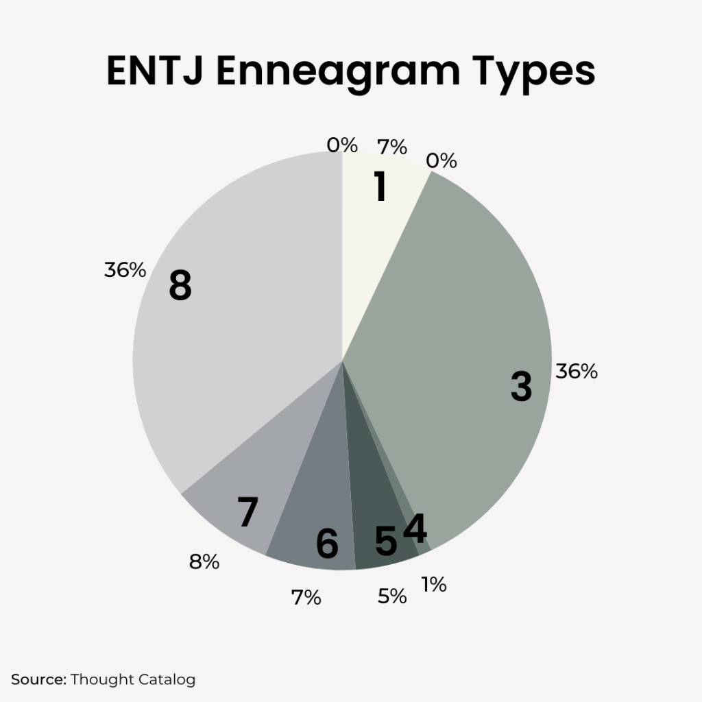 ENTJ Enneagram pie chart