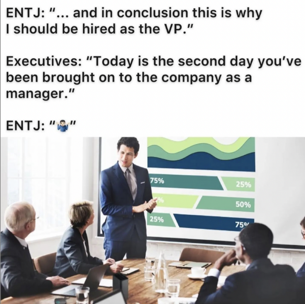 ENTJ personality type funny