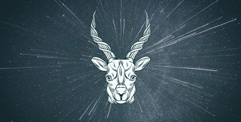 7 Capricorn Spirit Animals that Embody this Zodiac Sign