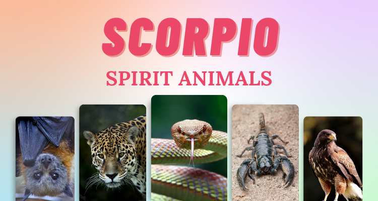 Spirit Animal Challenge