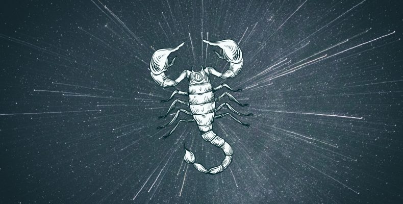 7 Scorpio Spirit Animals that Embody this Zodiac Sign