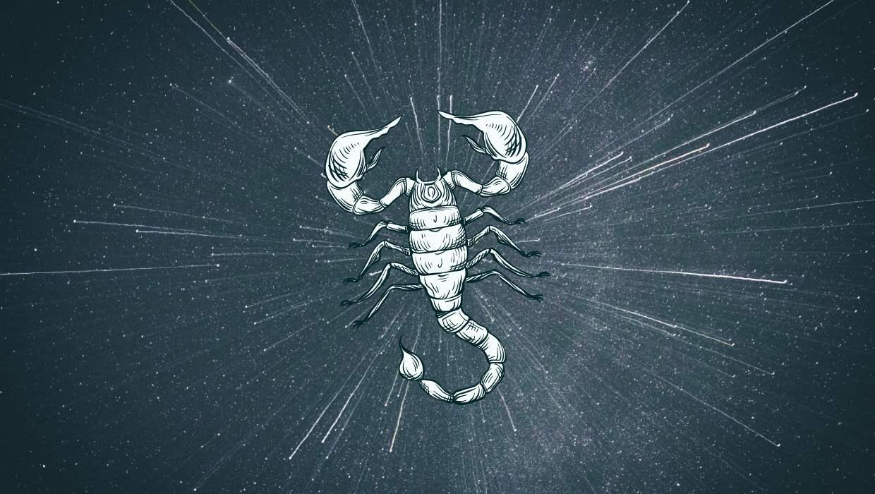 7 Scorpio Spirit Animals that Embody this Zodiac Sign | So Syncd