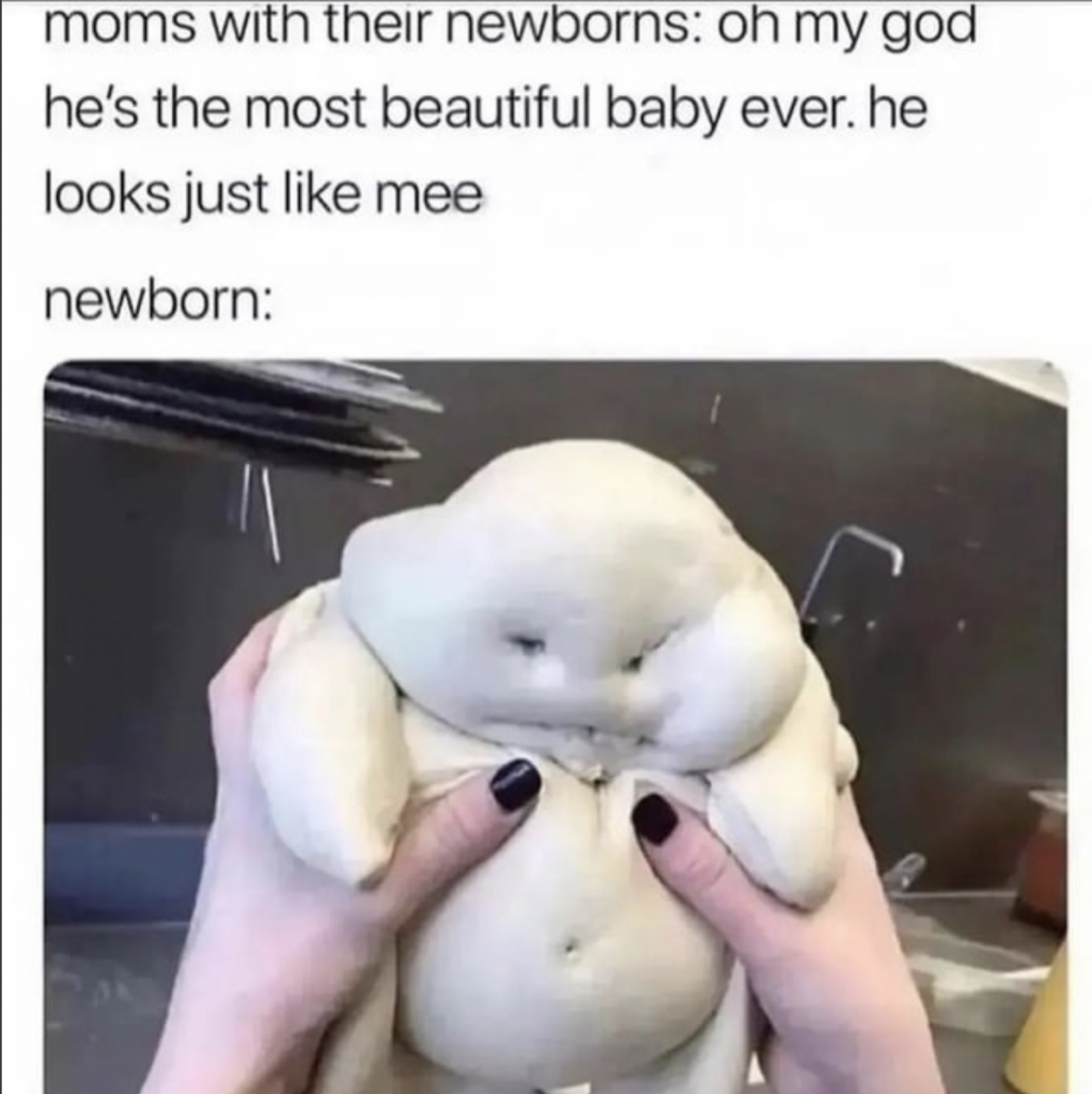 funny memes about life newborns baby 