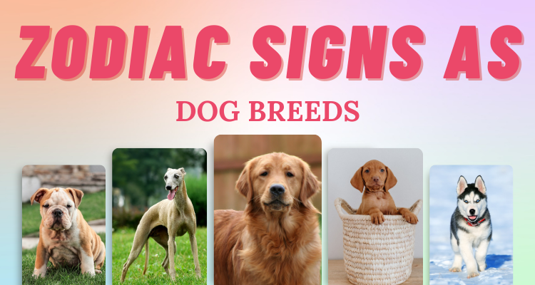astrological signs for different dog breeds