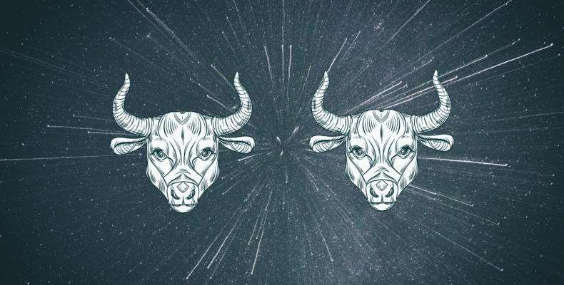 Taurus and Taurus Compatibility