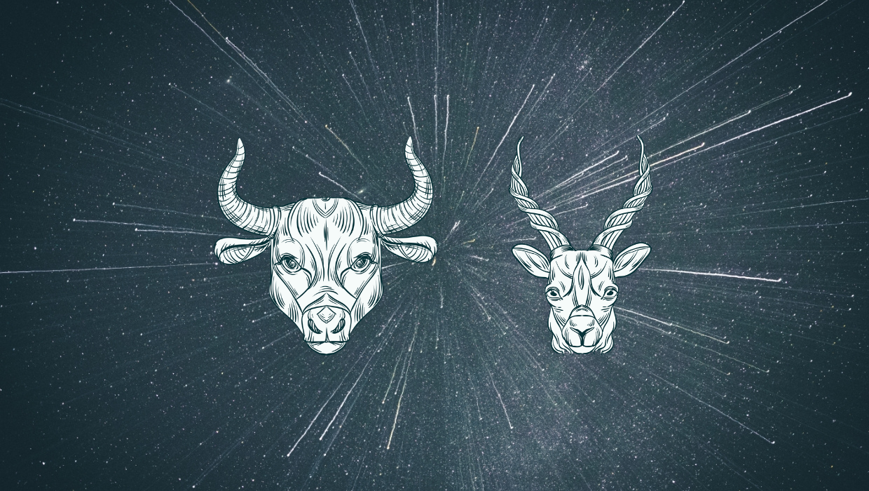 Capricorn and Taurus Compatibility