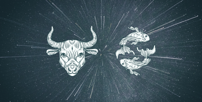 Pisces and Taurus Compatibility