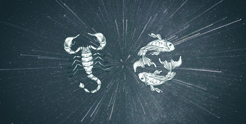 Scorpio and Pisces Compatibility