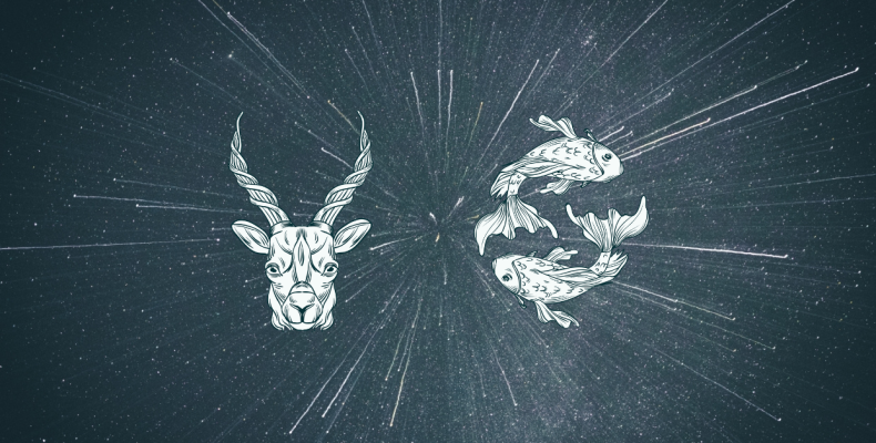 Capricorn and Pisces Compatibility