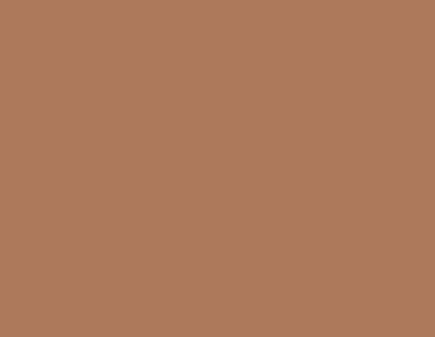 Virgo color: Brown